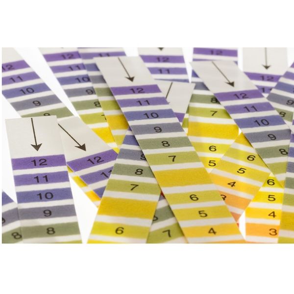 pH Indicator Strips x 100