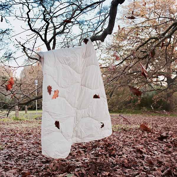 Staydry Wool Quilt With Everday Easy Cover King Single Bed