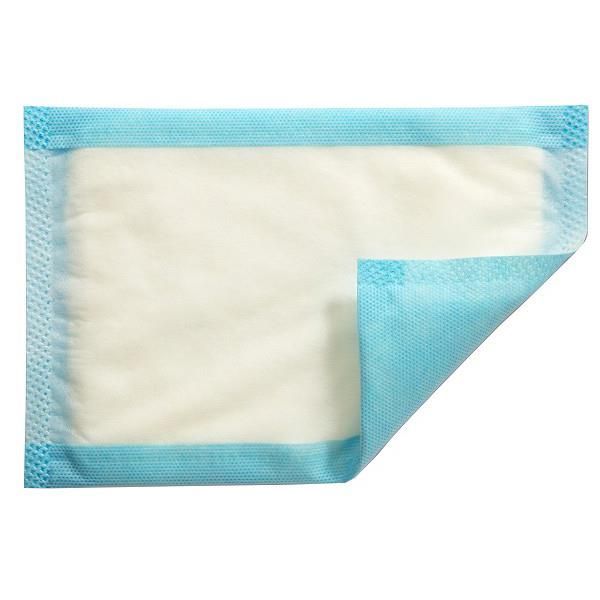 Mesorb Absorbent Dressing 10x13cm