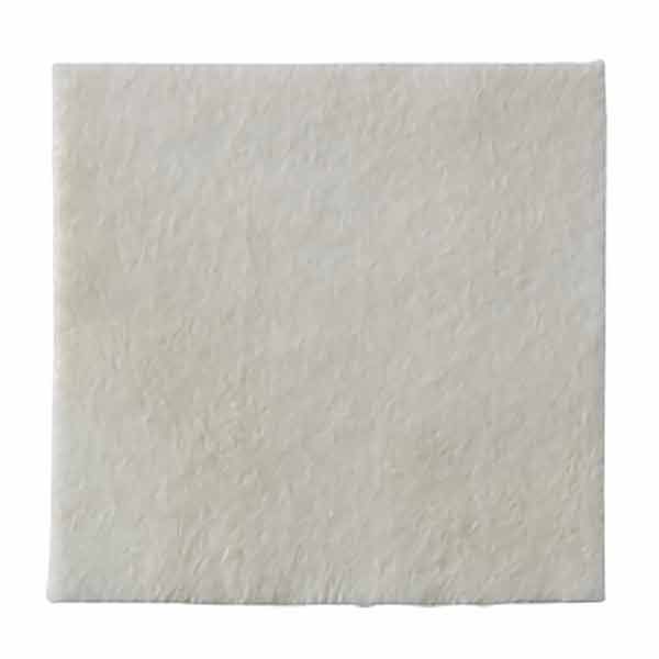 Biatain Alginate Silver 5x5cm